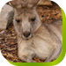  Accommodation Directory