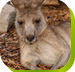 Calmsley Hill City Farm - Accommodation Directory