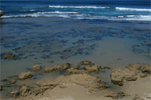 Canberra Contemporary Art Space - Accommodation Directory