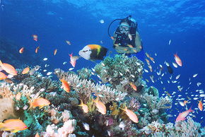 The Whitsundays QLD Accommodation Directory