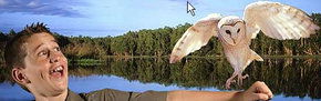 Territory Wildlife Park - Accommodation Directory 2