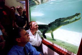 Alice Springs Reptile Centre - Accommodation Directory 1