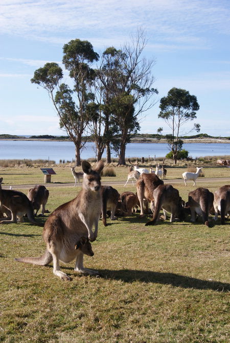 East Coast Natureworld - Accommodation Directory 1