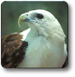 Kakadu National Park - Accommodation Directory 0