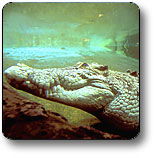 Kakadu National Park - Accommodation Directory 1