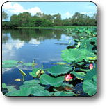 Kakadu National Park - Accommodation Directory 3