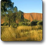 Uluru - Kata Tjuta National Park - Accommodation Directory