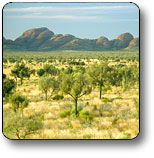Uluru - Kata Tjuta National Park - Accommodation Directory 2