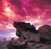 Kangaroo Island Adventure Tour 2 day/1 night - Accommodation Directory