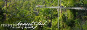 Rainforest Skywalk - Accommodation Directory 2