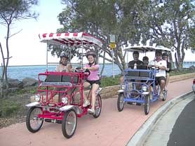 Beach Safaris - Accommodation Directory 0