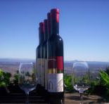 Mount Tamborine Winery  Homestead - Accommodation Directory