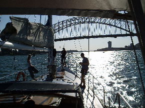 Kalypso Cruises - Accommodation Directory 2