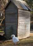 Wagga Wagga Zoo - Accommodation Directory 2