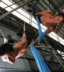 Sydney Trapeze School - Accommodation Directory 2