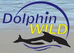 Dolphin Wild - Accommodation Directory 0