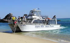 Dolphin Wild - Accommodation Directory 2