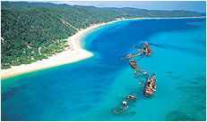 Dolphin Wild - Accommodation Directory 3