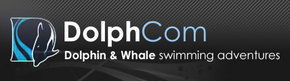  Accommodation Directory