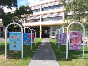 Cadbury Chocolate Factory Tour - Accommodation Directory 2