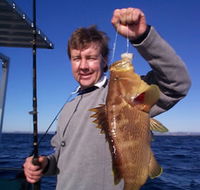 Downunder Charters - Accommodation Directory