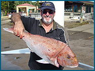 Odyssey Charters - Accommodation Directory 1