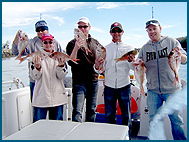 Odyssey Charters - Accommodation Directory 2