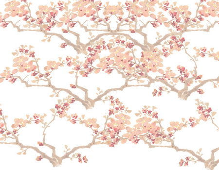 Zen Day Spa - Accommodation Directory 3