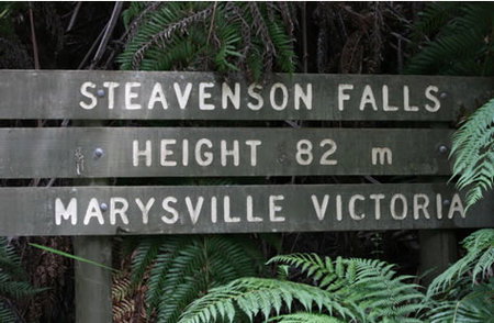 Stevensons Falls - Accommodation Directory 0
