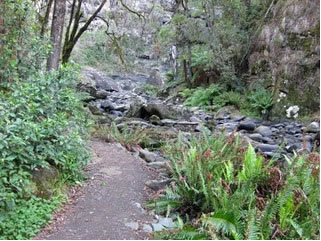 Stevensons Falls - Accommodation Directory 1