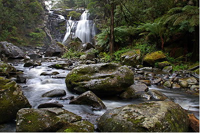 Stevensons Falls - Accommodation Directory 2