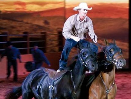 Australian Outback Spectacular - Accommodation Directory 1