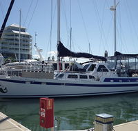 Coral Sea Dreaming Dive and Sail - Accommodation Directory