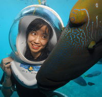 Sunlover Reef Cruises - Accommodation Directory