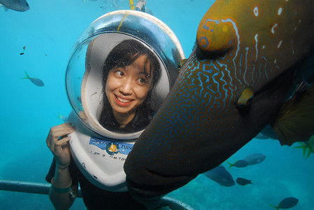 Sunlover Reef Cruises - Accommodation Directory 0