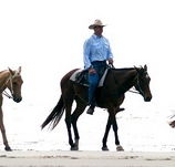 Ride the Beach - Accommodation Directory