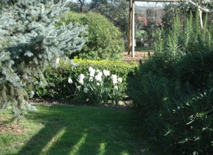 The Old Cheese Factory - Accommodation Directory 2