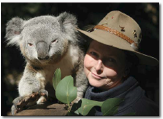 Koala Park Sanctuary - Accommodation Directory 2