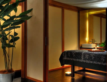 Pure Energy Concept Spas - Accommodation Directory 2