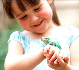 Reptile Encounters - Accommodation Directory 1