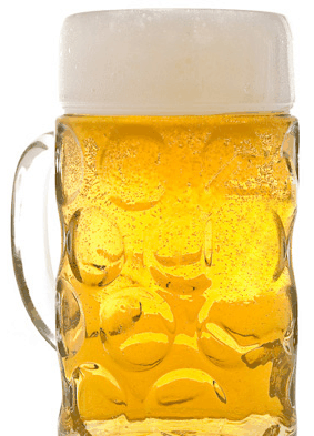 Duckstein Brewery - Accommodation Directory 4
