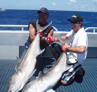 Blue Juice Charters - Accommodation Directory