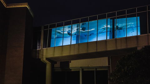 Kingston Arts - Accommodation Directory 8