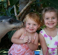 Dolphin Marine Magic - Accommodation Directory