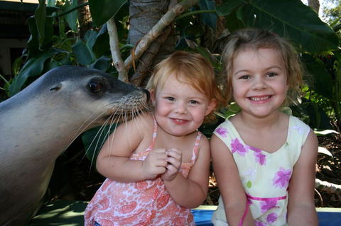 Dolphin Marine Magic - Accommodation Directory 0
