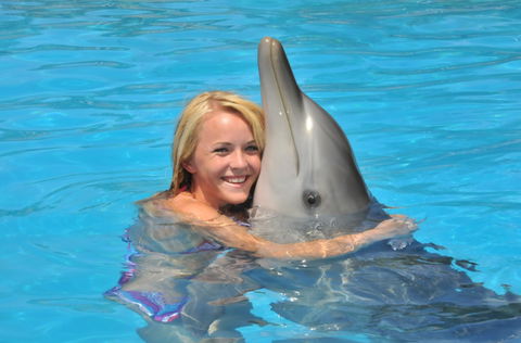 Dolphin Marine Magic - Accommodation Directory 5
