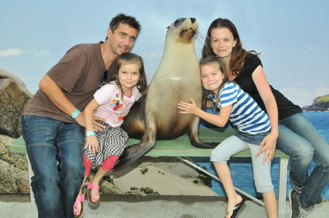 Dolphin Marine Magic - Accommodation Directory 6