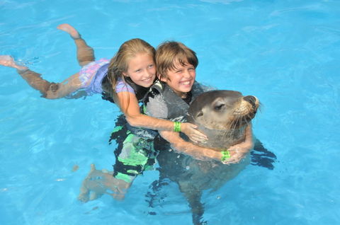 Dolphin Marine Magic - Accommodation Directory 9