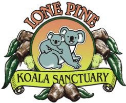 Lone Pine Koala Sanctuary - Accommodation Directory 0