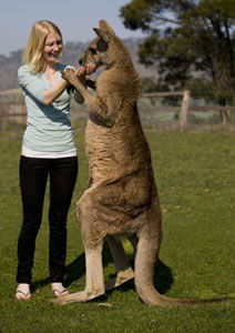 Zoo Doo Wildlife Park - Accommodation Directory 5